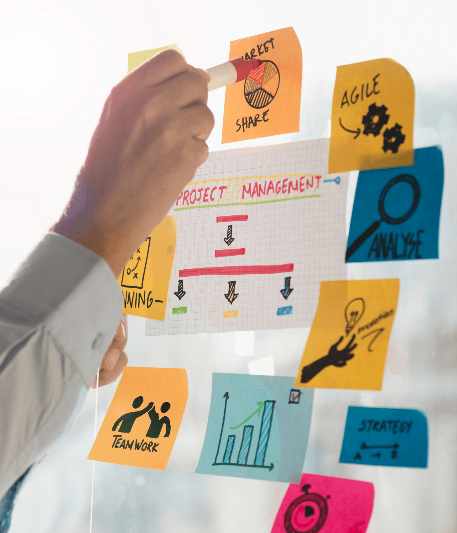 Project Management Services